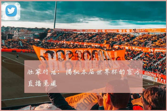 独家对话：揭秘本届世界杯的官方直播渠道