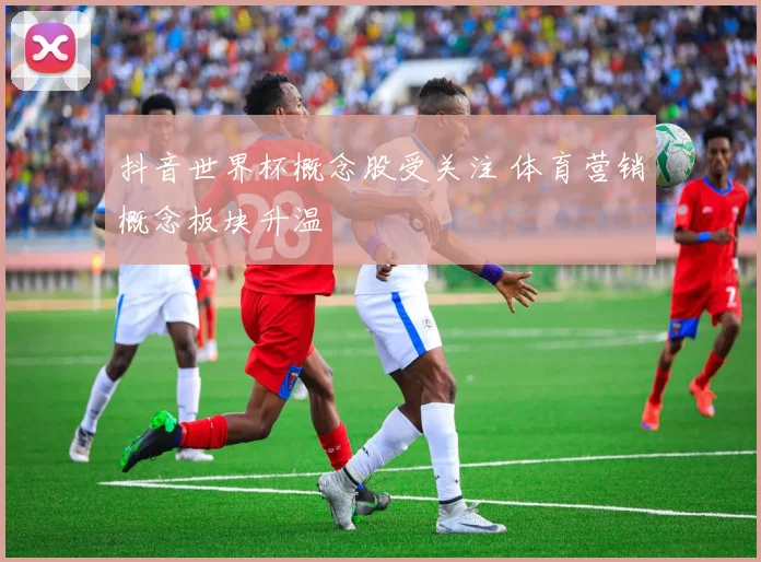 抖音世界杯概念股受关注 体育营销概念板块升温