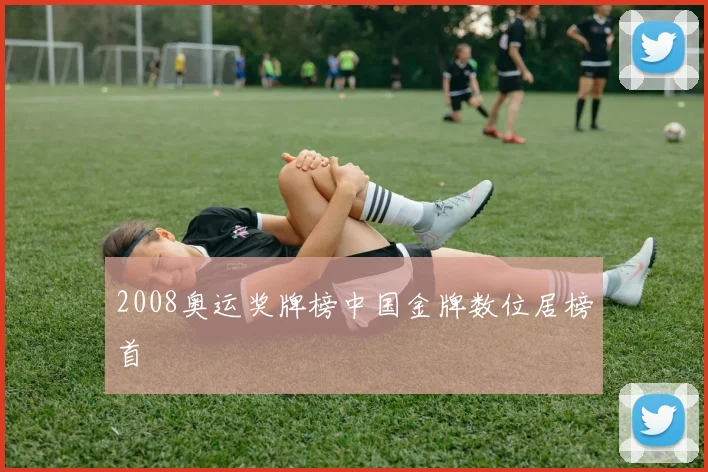 2008奥运奖牌榜中国金牌数位居榜首