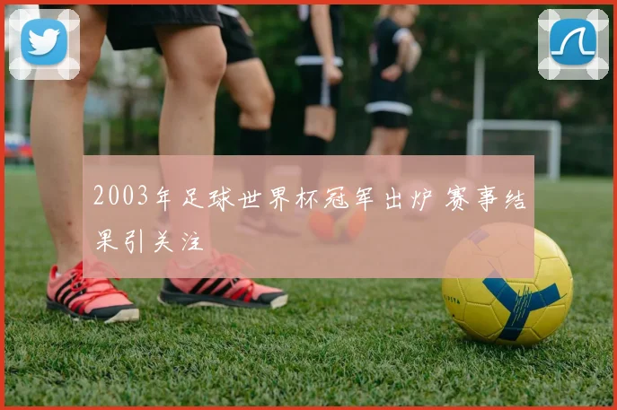 2003年足球世界杯冠军出炉 赛事结果引关注