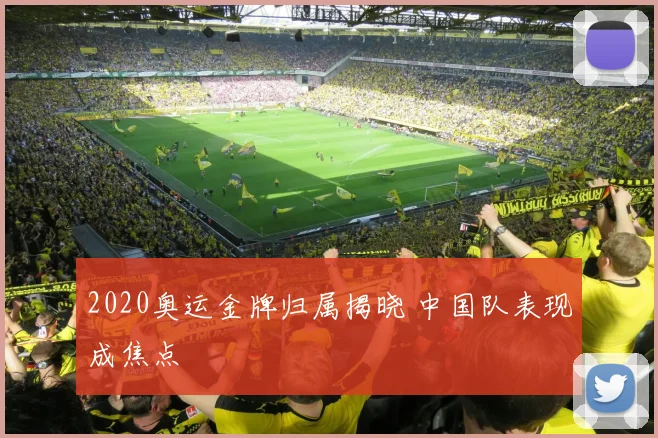 2020奥运金牌归属揭晓 中国队表现成焦点