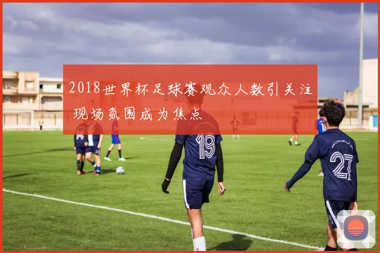 2018世界杯足球赛观众人数引关注 现场氛围成为焦点