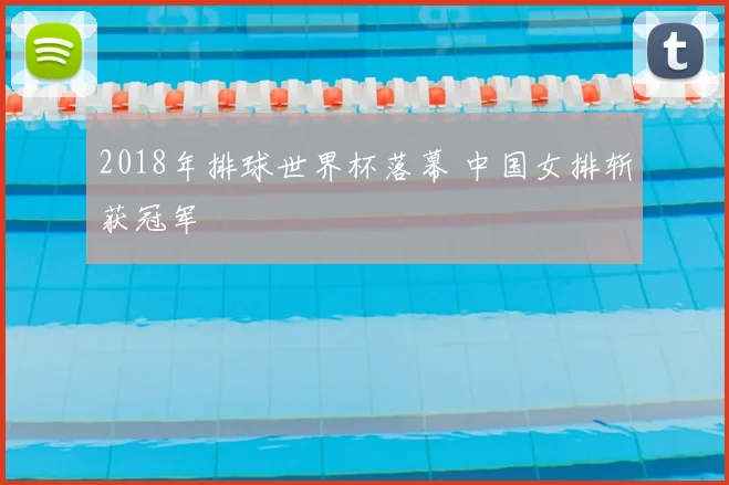 2018年排球世界杯落幕 中国女排斩获冠军