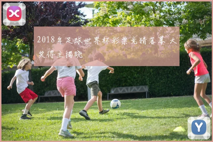 2018年足球世界杯彩票竞猜落幕 大奖得主揭晓